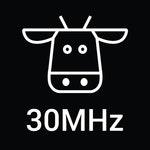 30MHz logo