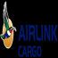Airlink Cargo logo