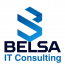 BELSA IT Consulting logo
