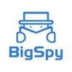 BigSpy logo
