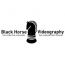 Black Horse Videography logo