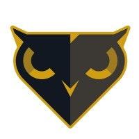 Black Owl logo