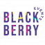Blackberry Events logo