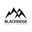 Blackridge Software logo