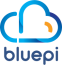 BluePi Consulting Pvt. Ltd. logo