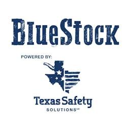 BlueStock logo