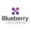 Blueberry Consultants Ltd logo