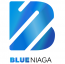 Blueniaga logo