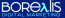 Borealis Digital Marketing logo