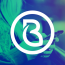 Brandmint logo