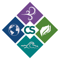 software logo