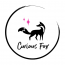 Curious Fox, LLC logo