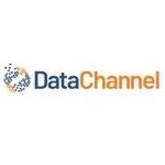 DataChannel logo