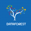Dataforest logo