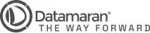 Datamaran logo