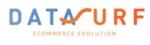 Datasurf logo