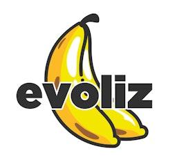 Evoliz logo