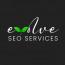 Evolve SEO Services logo