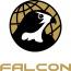 Falcon International logo