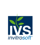 IVS logo