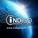 Indigo DQM logo