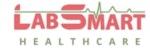 LabSmart logo