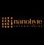NanoByte Technologies logo