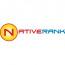 Native Rank logo