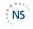 Nelson Schmidt logo