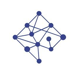 Network Perspective logo