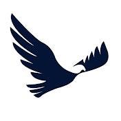 Osprey Flight Solutions logo