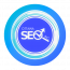 Ottawa SEO Inc. logo