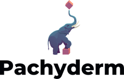 Pachyderm logo