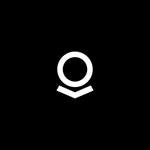 Palantir Gotham logo