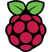 Raspberry Pi OS logo