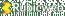Rubic Web logo
