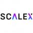 Scalex Technology Solutions logo