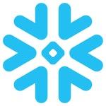 Snowflake logo