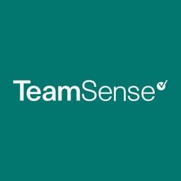 TeamSense logo