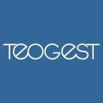 Teogest logo