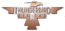 Thunderbird Digital logo