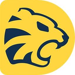 Tiger Data Recovery logo