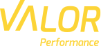 Valor Performance logo