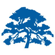 Virtual Task Manager logo