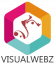 Visualwebz logo