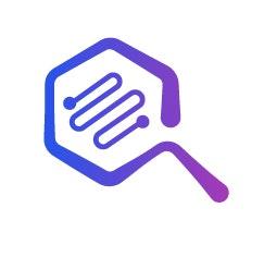 WebMaxy Analyzer logo