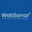 WebSenor LLC logo