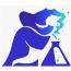 Wizard Creative Labs logo