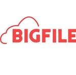 bigfile logo