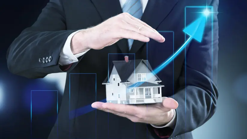The Ultimate Guide to Choosing Real Estate Marketing Software for Growing Agencies